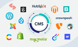 CMS Setup (WordPress/Drupal/Joomla)